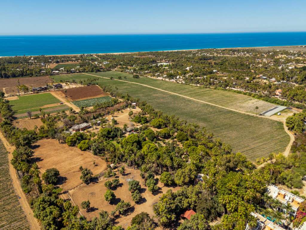 Rancho El Guamuchil, Pacific, Pacific, BS | Cabo Luxury For Sale